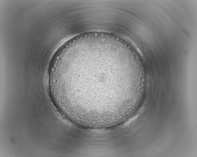 X0000114511125200911161249