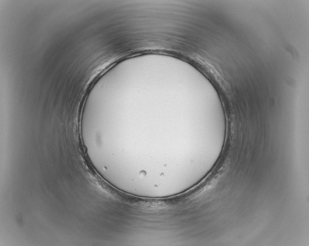 X0000114511129200911161249