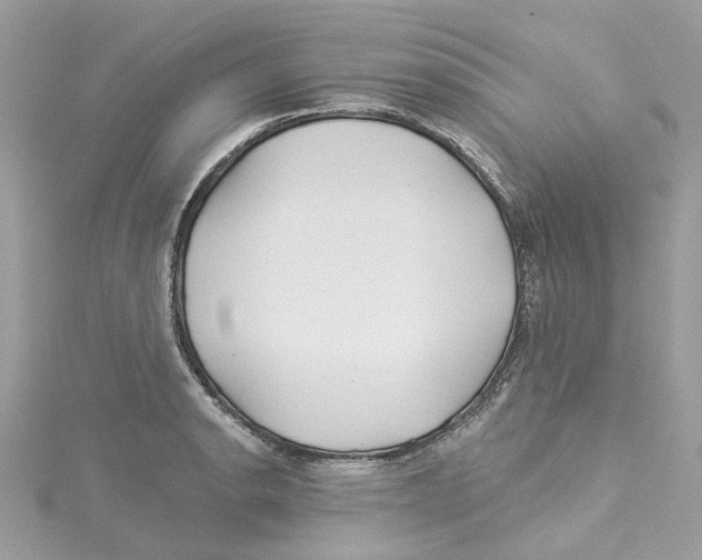 X0000114511134200911161250