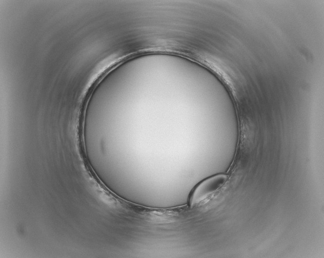 X0000114511138200911161250