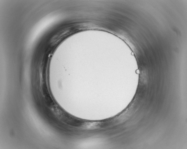 X0000114511150200911161250