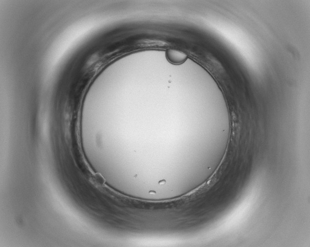 X0000114511151200911161250