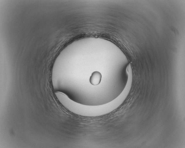 X0000114511153200911161249