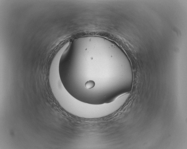 X0000114511157200911161249