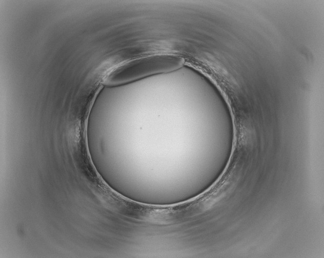 X0000114511161200911161249