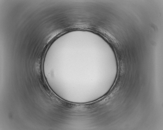 X0000114511162200911161249