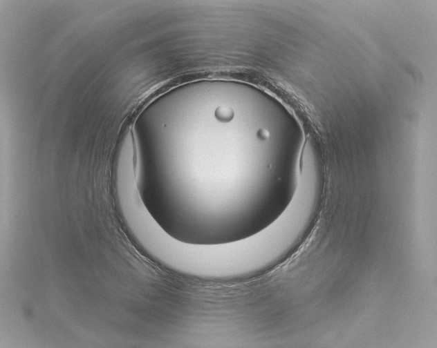 X0000114511169200911161249