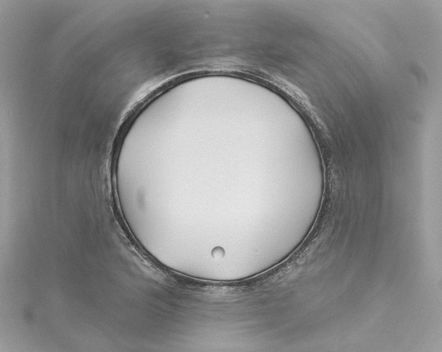 X0000114511176200911161249