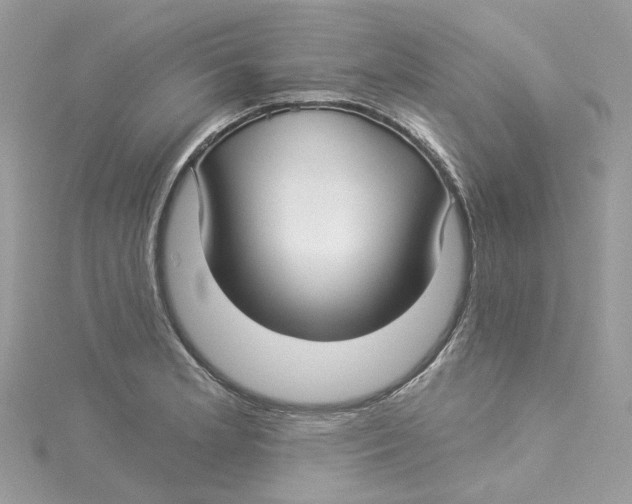 X0000114511181200911161249