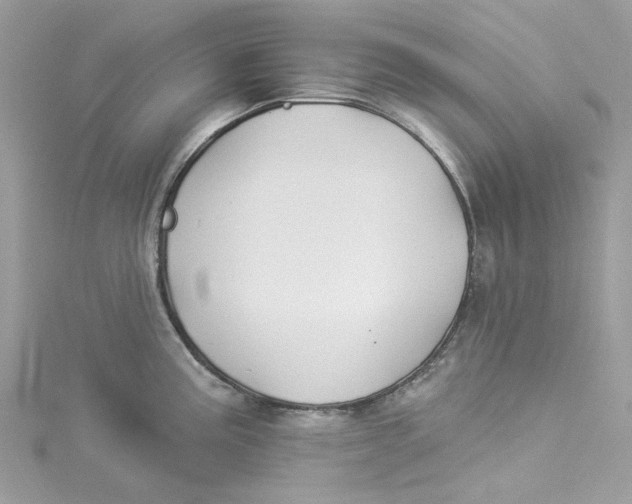 X0000114511195200911161248