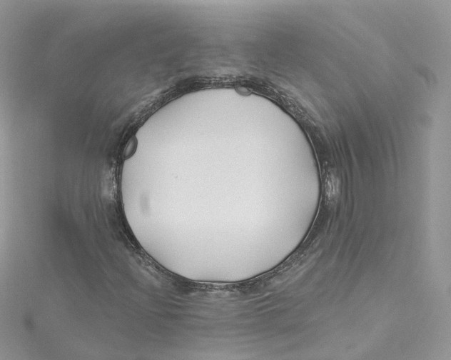 X0000114511204200911161248