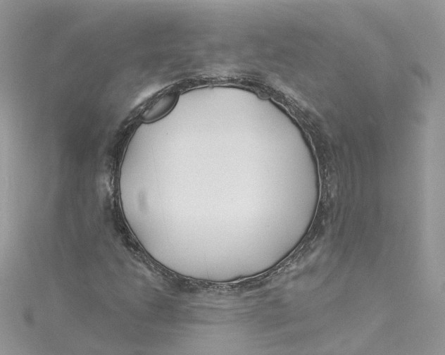 X0000114511206200911161248