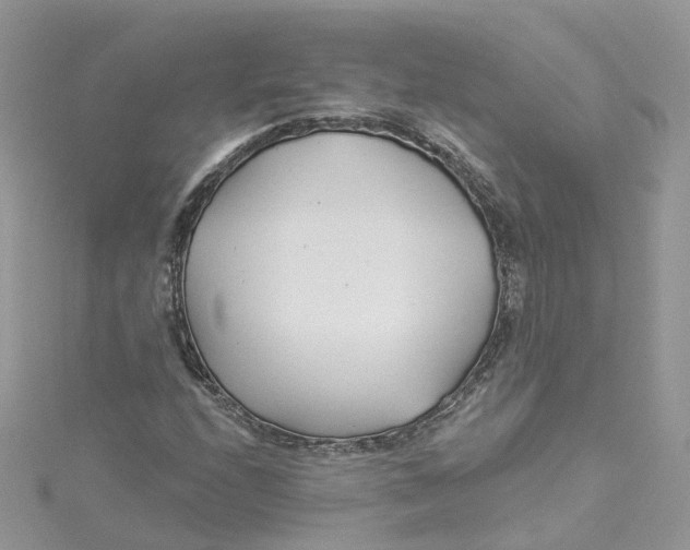 X0000114511208200911161248