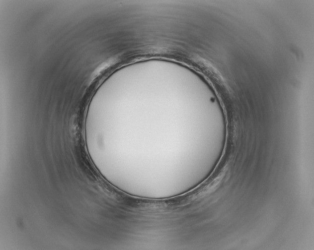 X0000114511210200911161248