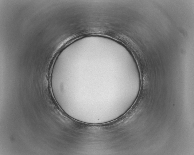 X0000114511212200911161248