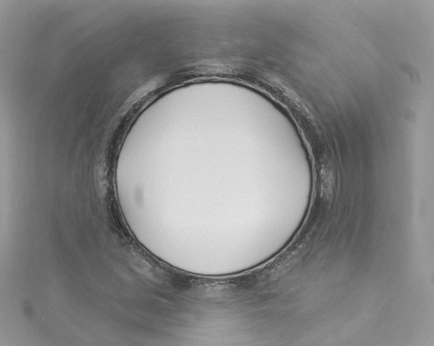 X0000114511213200911161248