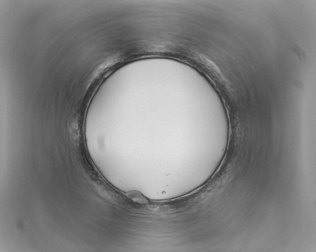 X0000114511218200911161248