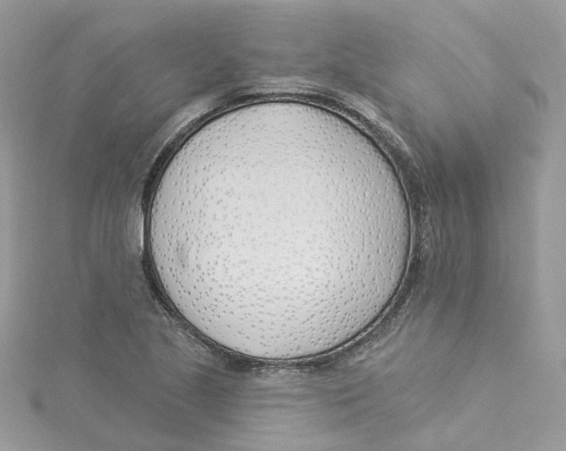 X0000114511221200911161248