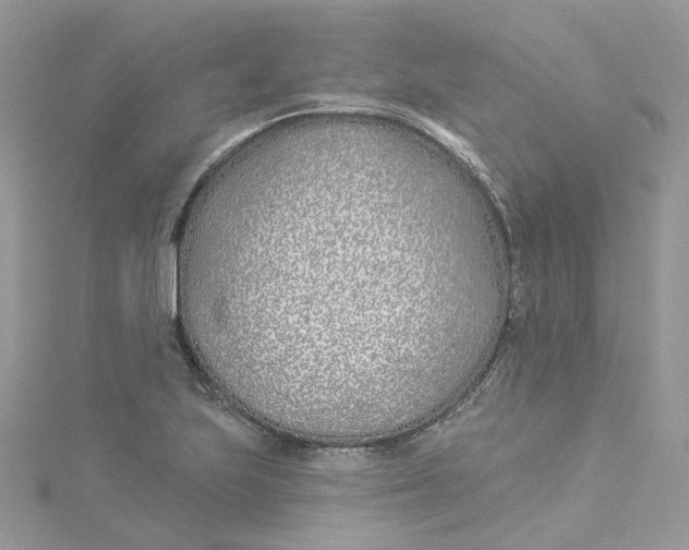 X0000114511223200911161248