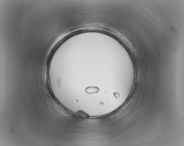 X0000114511224200911161248