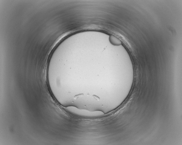 X0000114511228200911161248