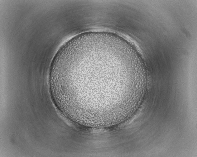 X0000114511231200911161248