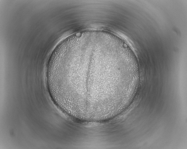 X0000114511235200911161248