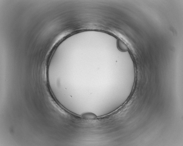 X0000114511238200911161248