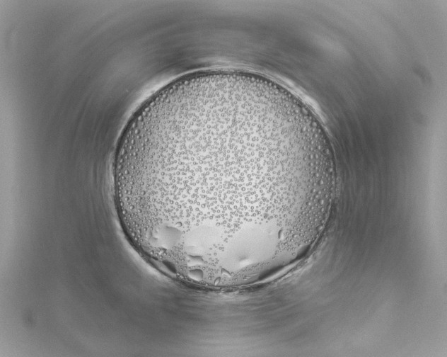 X0000114511239200911161248