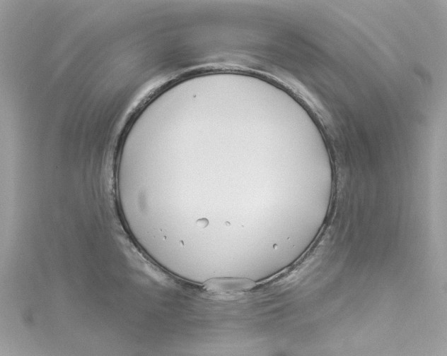 X0000114511240200911161248