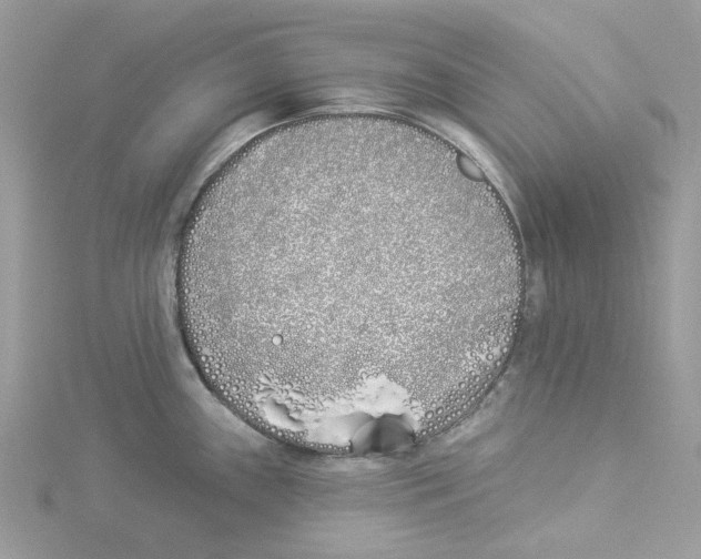 X0000114511243200911161248