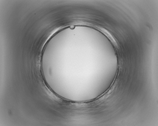 X0000114511244200911161248