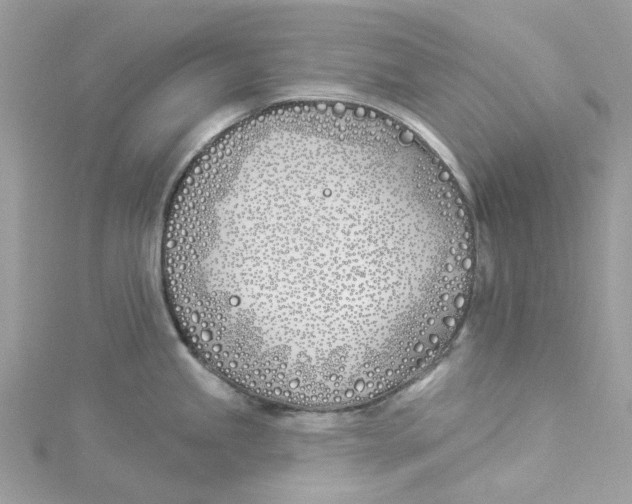 X0000114511245200911161248