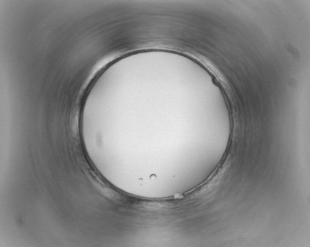 X0000114511246200911161248