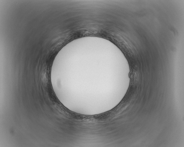 X0000114511250200911161248