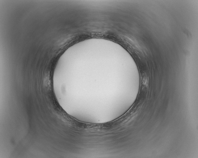 X0000114511252200911161248