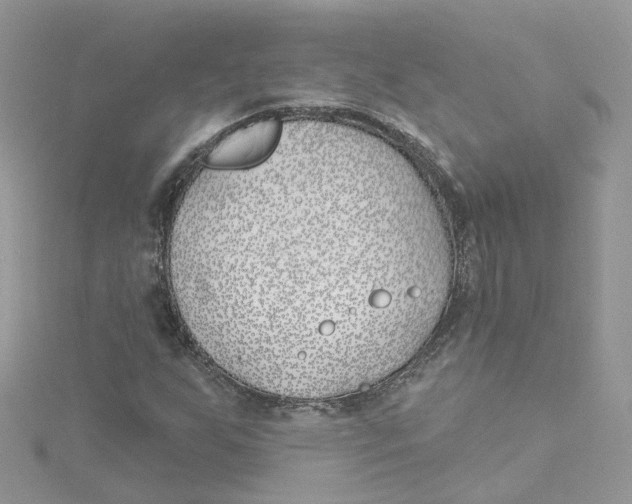 X0000114511255200911161248