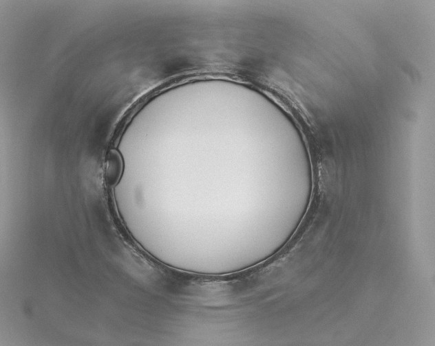 X0000114511260200911161247