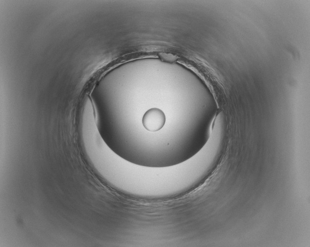 X0000114511261200911161247