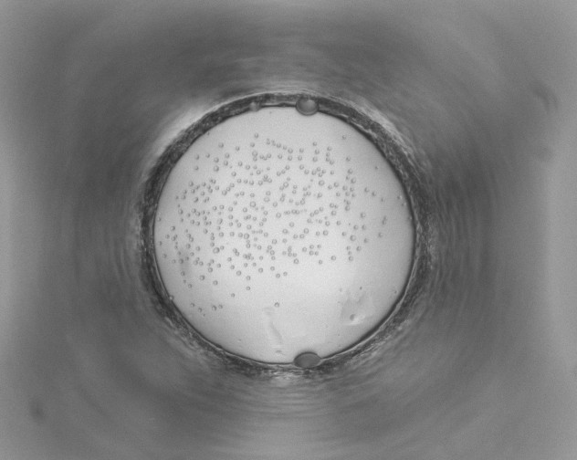 X0000114511263200911161247