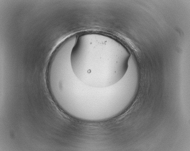 X0000114511264200911161247