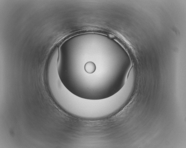 X0000114511269200911161247