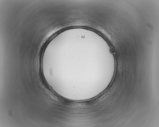 X0000114511270200911161247