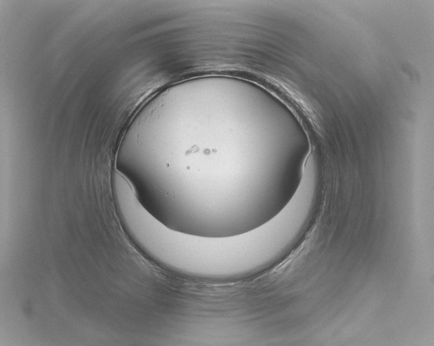 X0000114511273200911161247