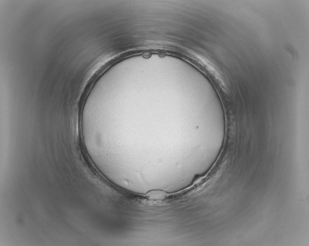 X0000114511275200911161247