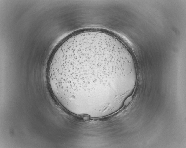 X0000114511279200911161247