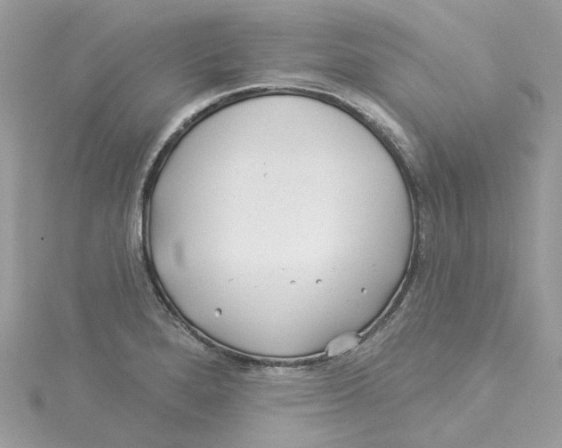 X0000114511280200911161247