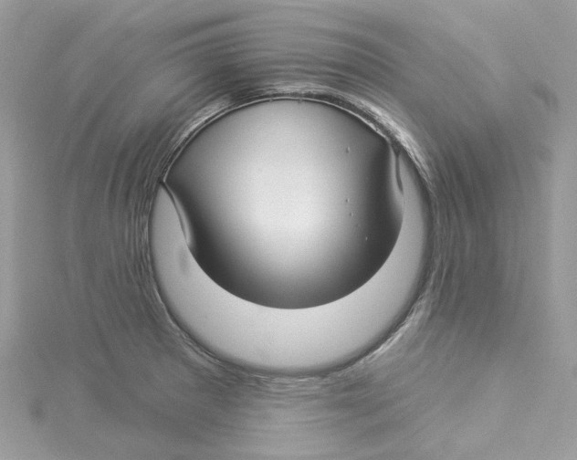 X0000114511281200911161247