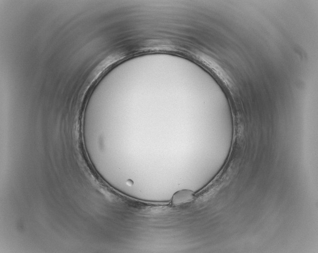 X0000114511282200911161247