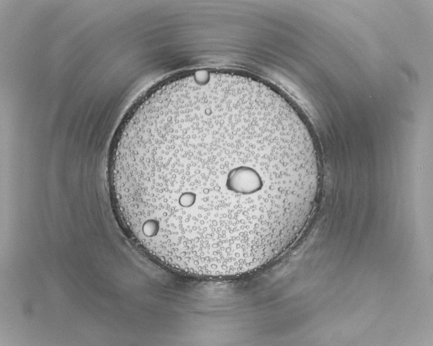 X0000114511283200911161247